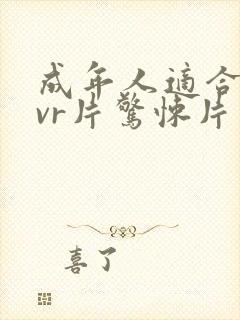 成年人适合看的vr片惊悚片