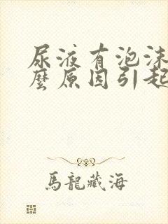 尿液有泡沫是什么原因引起的