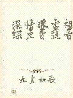 深情眼电视剧团综免费观看全集高清