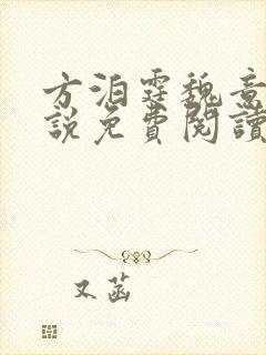 方泊霆魏意荷小说免费阅读