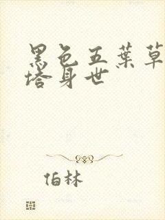 黑色五叶草阿斯塔身世