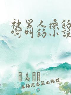 被男人操的啊啊啊叫的小说