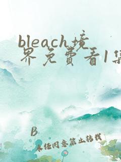 bleach境界免费看1集至115集