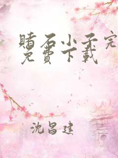 赌石小子完整版免费下载