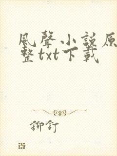 风声小说原著完整txt下载