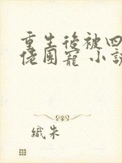 重生后被四个大佬团宠 小说