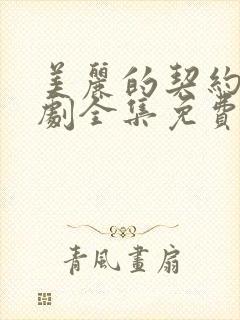 美丽的契约电视剧全集免费观看