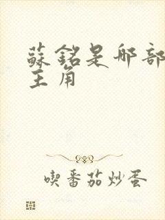 苏铭是哪部小说主角