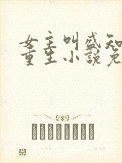 女主叫盛知婉的重生小说免费阅读