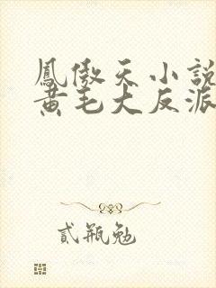 凤傲天小说里的黄毛大反派也想要幸福txt