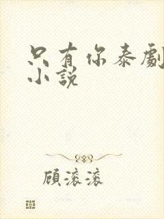 只有你泰剧原著小说