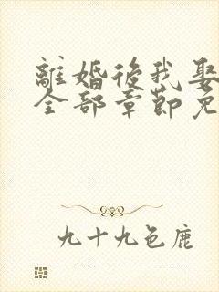 离婚后我娶了岳全部章节免费阅读