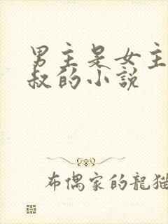 男主是女主小叔叔的小说