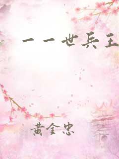 一一世兵王