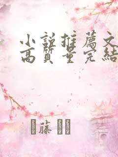 小说推荐文笔好高质量完结女主