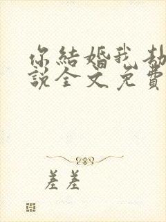 你结婚我劫婚小说全文免费