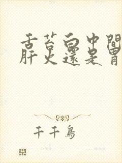 舌苔白中间黄是肝火还是胃火