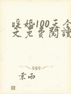 暖婚100天全文免费阅读全文