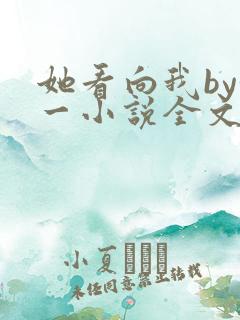 她看向我by徐一小说全文免费阅读