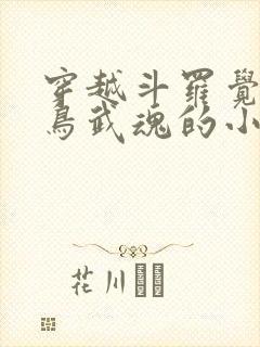 穿越斗罗觉醒雷鸟武魂的小说