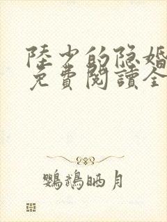 陆少的隐婚罪妻免费阅读全