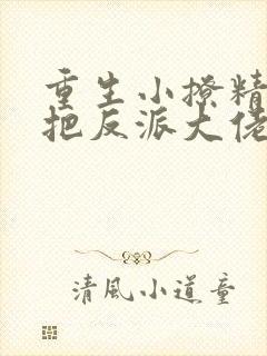 重生小撩精,我把反派大佬宠娇了 知之