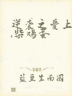 逆袭之爱上情敌,柴鸡蛋