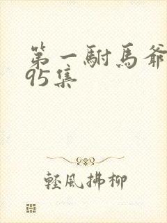 第一驸马爷短剧95集