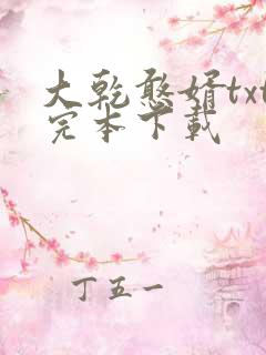 大乾憨婿txt完本下载