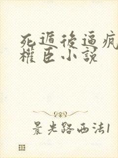 死遁后逼疯清冷权臣小说