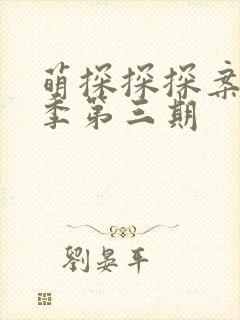 萌探探探案第二季第三期