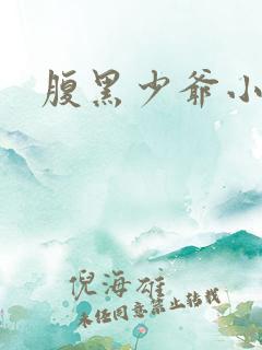 腹黑少爷小甜妻