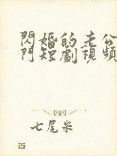 闪婚的老公是豪门短剧视频全集