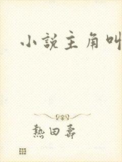 小说主角叫林恒