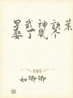 星武神诀叶星河娶了几个