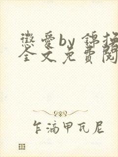 惩爱by 锦换全文免费阅读笔趣阁