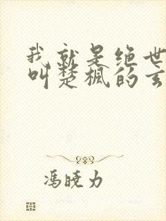 我就是绝世天才叫楚枫的玄幻小说