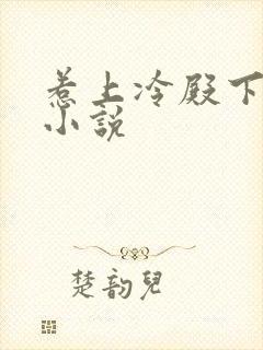 惹上冷殿下原著小说