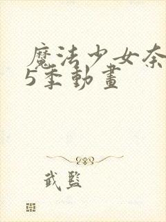 魔法少女奈叶第5季动画