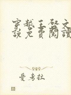 穿越王启文的小说免费阅读无弹窗