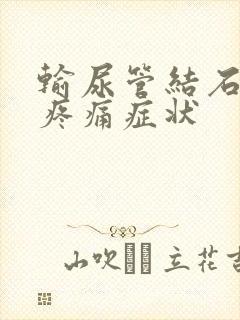 输尿管结石各段疼痛症状