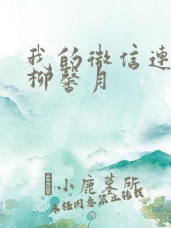 我的微信连三界柳馨月