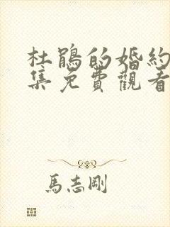 杜鹃的婚约动全集免费观看