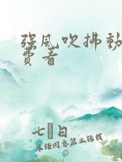 强风吹拂动画免费看