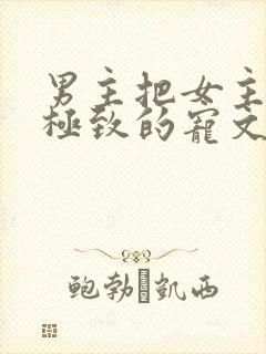 男主把女主宠到极致的宠文古言