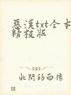 恶汉txt全本精校版
