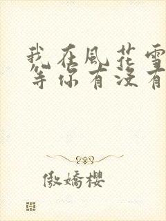 我在风花雪月里等你有没有续集