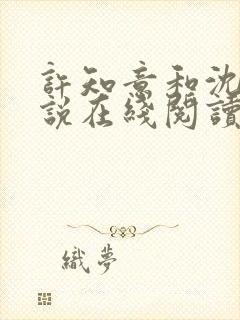 许知意和沈彻小说在线阅读