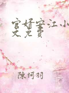 官婿安江小说全文免费