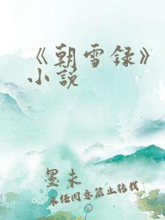 《朝雪录》原著小说